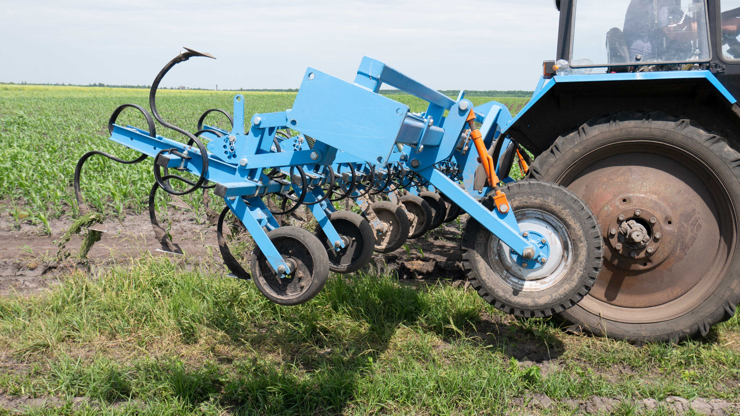 Редови култиватори Agrokalina KуM - Image 2