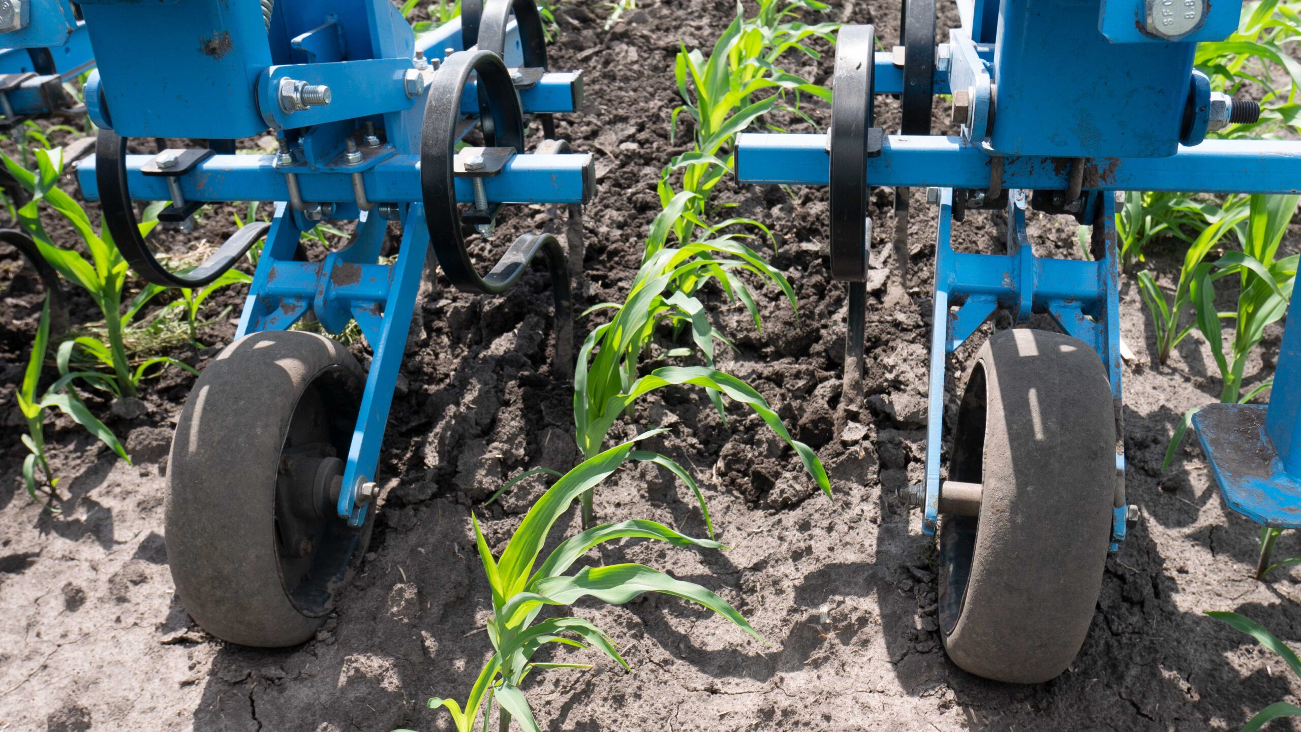 Редови култиватори Agrokalina KуM - Image 3